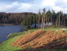 Tarn Hows ix
